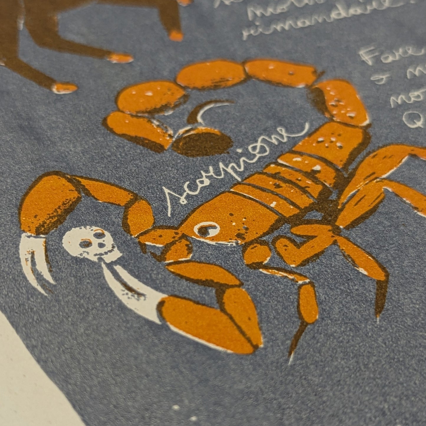 POSTER - LE COSTELLAZIONI DEL PÖI